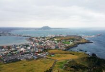 봄, 전국을 걸으며 느끼는 아름다운 산책로