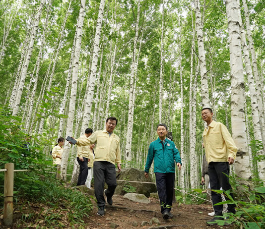 산림재난·안전사고 취약 1794곳 집중 안전점검 실시
