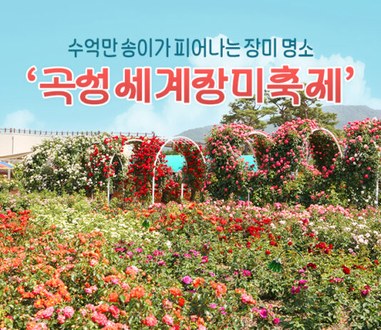 수억만 송이가 피어나는 장미 명소 ‘곡성세계장미축제’