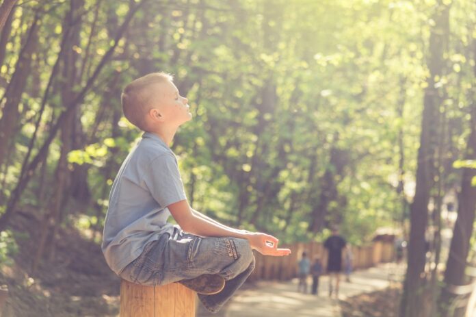 Photo by Vitolda Klein man in blue t-shirt and brown pants sitting on brown wooden seat during daytime