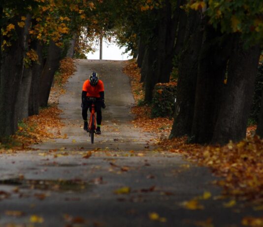 운동으로 건강한 가을 보내기, 체중 감량의 필수 전략 person riding bicycle between trees
