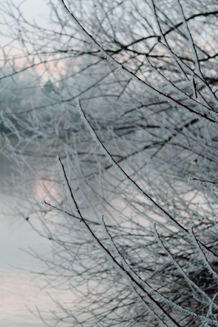 Photo by Carolina a red fire hydrant sitting on the side of a road