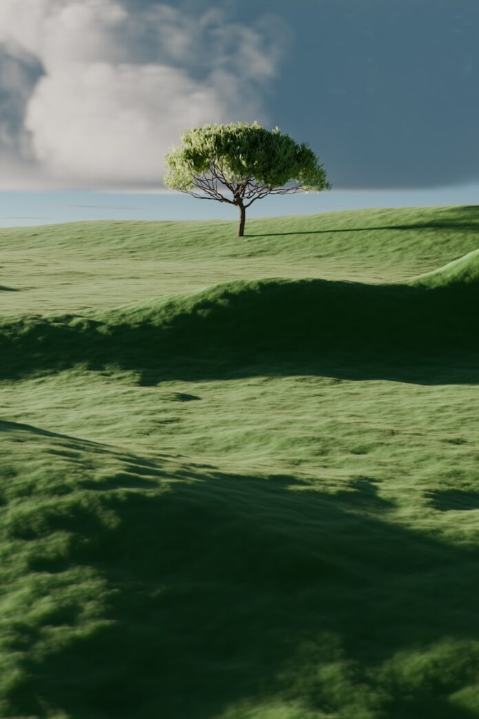 Photo by Mehrab Sium A single tree on a vibrant green rolling hill.