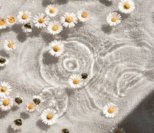 “나를 위한 작은 변화, 웰니스 문화가 일상에 스며든다” white and blue floral textile