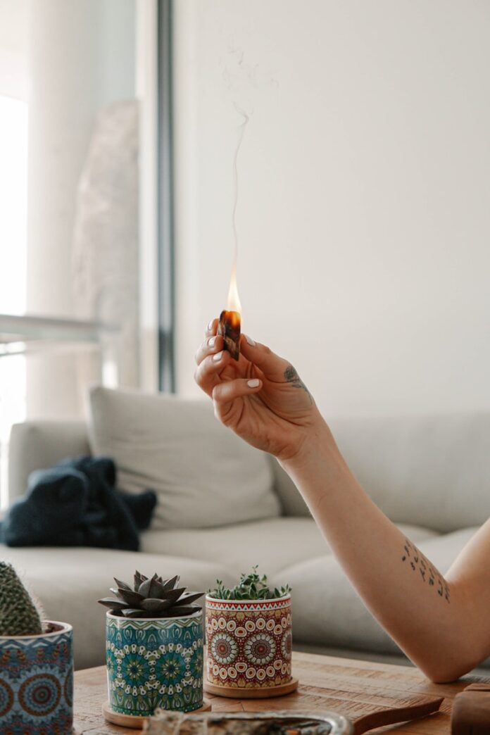 Photo by Mathilde Langevin person holding orange flower in front of white wall